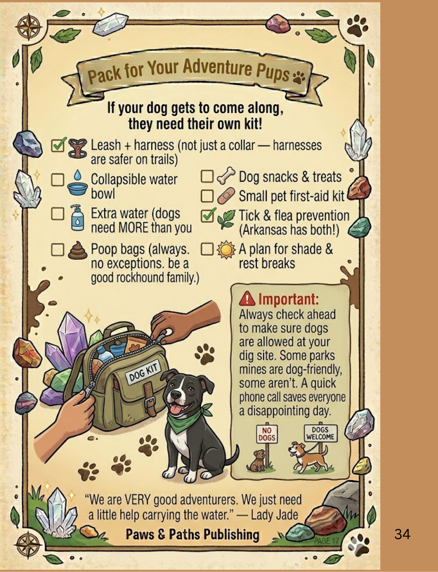 Lady Jade & Lil Sage's Arkansas Junior Rockhound Guide